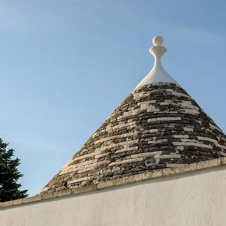 Pavi Trulli E *