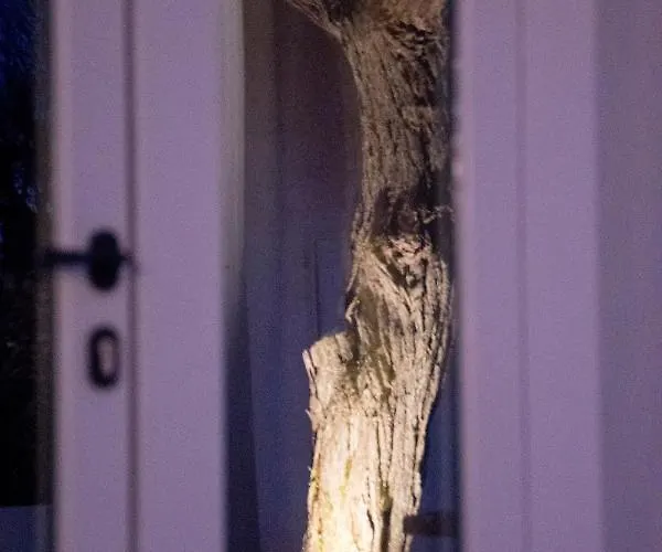 Pavì Trulli E Casa di campagna *